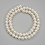 Freshwater Pearl Beads, diameter 6.5-7x7mm +/- on thread, length 36cm+