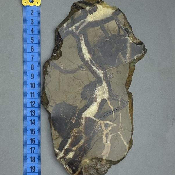 Septaria Natural Stone Souvenir Slab, 19x11x0.9cm+/- (Weight 341g)
