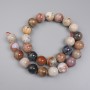 Fossil Coral Beads, smooth round, diameter 14mm+/-, on a strand, length 39cm+