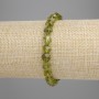 Chrysoprase Bracelet Faceted Beads, diameter 7.5×7.5mm ±, length 18cm ± Stretch