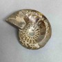 Ammonite with cavities, souvenir stone, diameter 109mm±, weight 308g (price per piece)