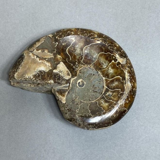 Ammonite with cavity souvenir stone, diameter 94mm± weight 206g (price per piece)