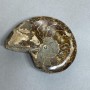 Ammonite with cavity souvenir stone, diameter 94mm± weight 206g (price per piece)