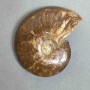Ammonite decorative stone, diameter 88mm±, weight 156 g (price per piece)
