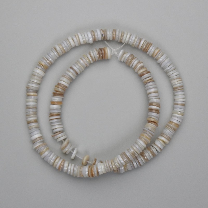 Shell Beads Scarfarca Rondelle, 6x1-1.5mm, 39cm length on thread