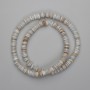 Shell Beads Scarfarca Rondelle, 6x1-1.5mm, 39cm length on thread