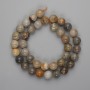 Coral Beads Smooth Round 10mm ±, Threaded 39cm ±