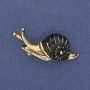 Brooch Snail with enamel in golden metal 39×22mm+
