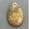 Pendant with Fossilised Coral 35x23mm+