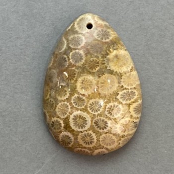 Pendant with Fossilised Coral 35x23mm+