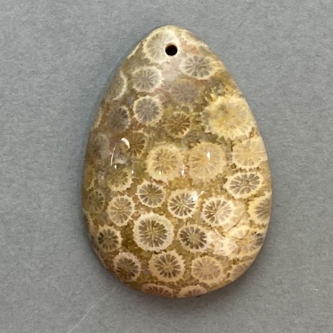 Pendant with Fossilised Coral 35x23mm+