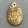 Pendant with Fossilised Coral 35x23mm+