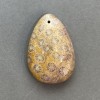 Pendant of Fossilized Coral 39×27mm+