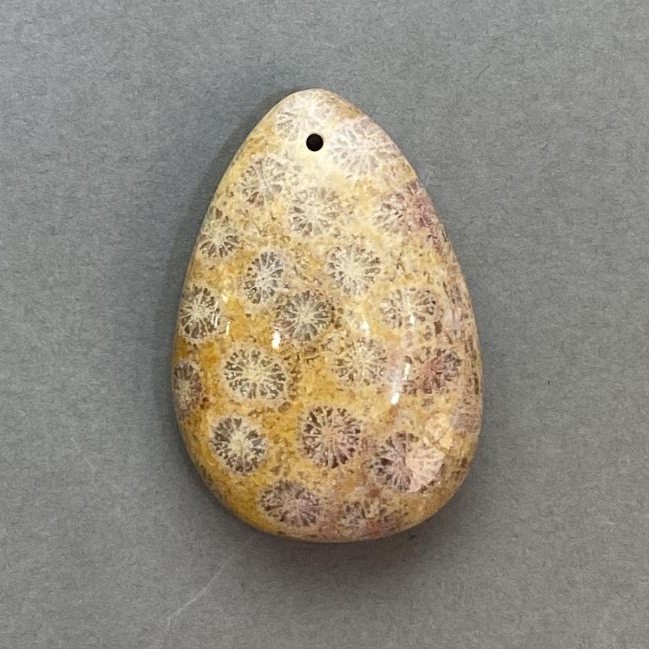 Pendant of Fossilized Coral 39×27mm+