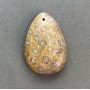 Pendant of Fossilized Coral 39×27mm+