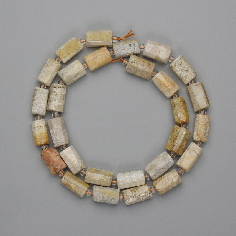 Fossilised coral cut beads 10-11×5-7mm+- beads 3mm+-, length 40cm+- on thread