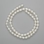 Freshwater pearls beads 6–7 mm on thread 37cm length