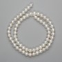 Freshwater Pearl Beads 6–6.5 mm on a Thread 39 cm length