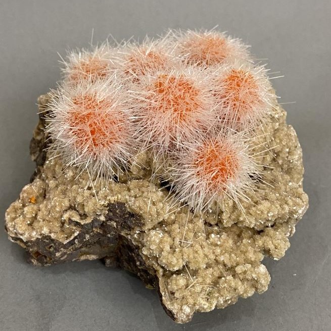 Indi­an Dandelion Celestite Souvenir 95x86x60mm±, 400 g