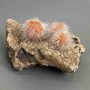Indian Dandelion Ceolinite Souvenir 100x53x50mm± weight 308g