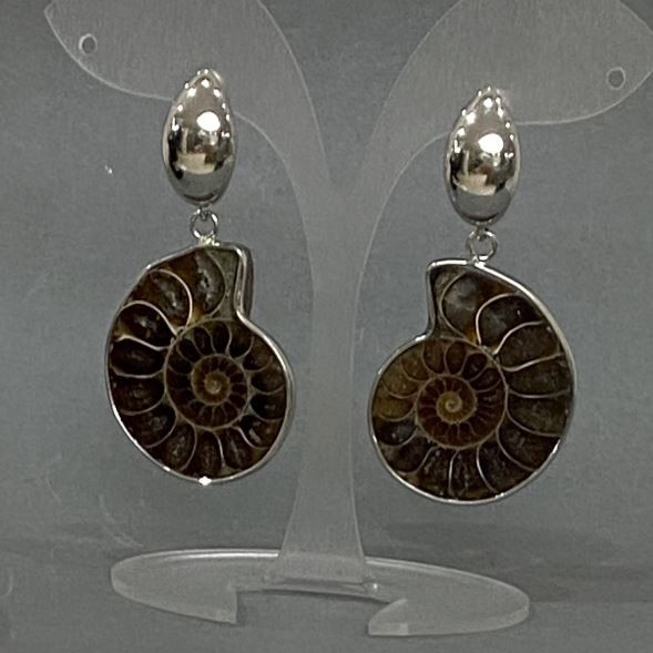 Earrings Natural Ammonite, diameter 32×27mm±, length 53mm±