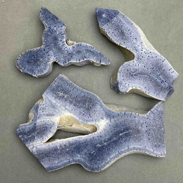 Price per 100g! Souvenir plate natural sponge coral gemstone from 50x65x10mm+- to 110x70x10 mm+- assorted sizes