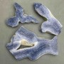 Price per 100g! Souvenir plate natural sponge coral gemstone from 50x65x10mm+- to 110x70x10 mm+- assorted sizes