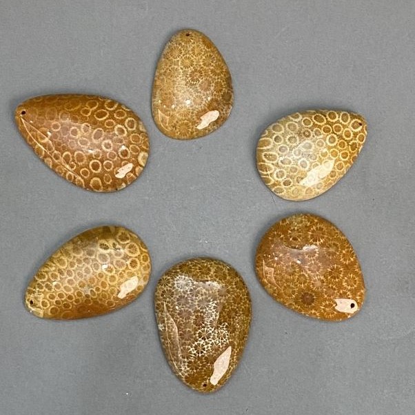 Pendant of Fossilised Coral 45-55×35-40mm+- assorted sizes