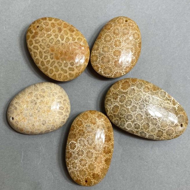 Pendant of Fossilised Coral 40-55×30-40mm+ - assorted sizes