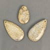 Pendant Fossilised Coral 40-60×25-30mm± Assorted sizes