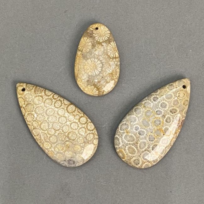 Pendant Fossilised Coral 40-60×25-30mm± Assorted sizes