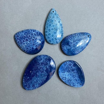Pendant of Fossilised Coral 50-70×30-45mm± assortment sizes