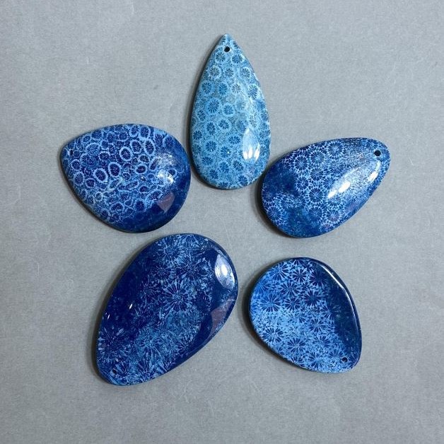 Pendant of Fossilised Coral 50-70×30-45mm± assortment sizes
