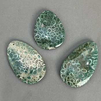 Pendant of Fossilised Coral 50-65×40mm± assortment sizes