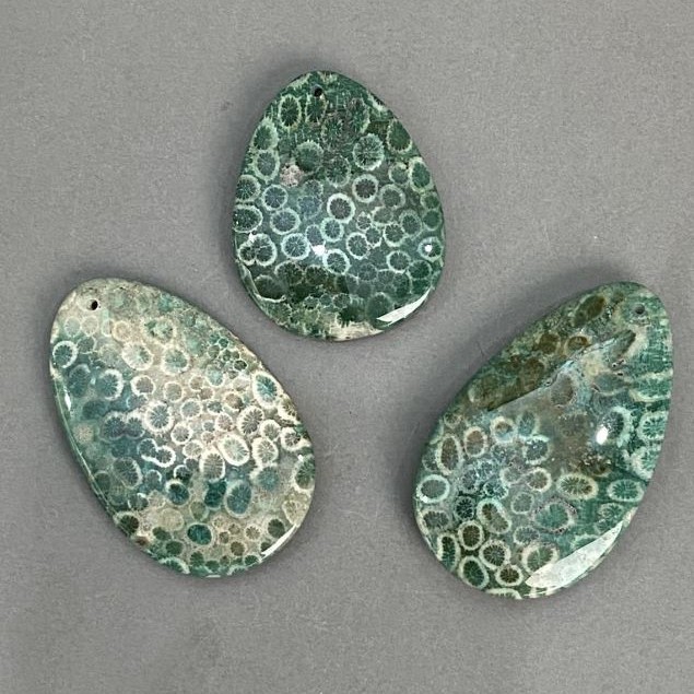 Pendant of Fossilised Coral 50-65×40mm± assortment sizes