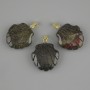 Pendant Shell Jasper Dragon's Blood 22×22 mm ±, length 30 mm ±
