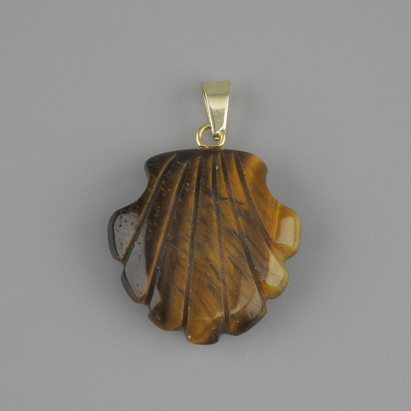 Shell Pendant Tiger's Eye 22×22×mm+-, length 30mm+