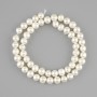 Freshwater cultured pearls 6.5–7.5 mm on a thread, 36 cm length