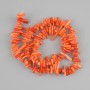 Coral Beads orange micro shard needle, diameter 6-14×2-3, 5mm+-, thread length 41cm+-