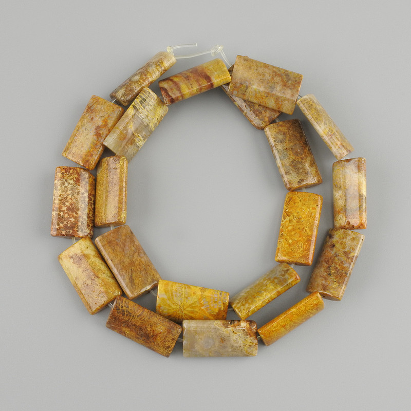 Fossilised coral beads rectangular 20×11 mm, 5-12 mm ±, 39 cm length on fishing line