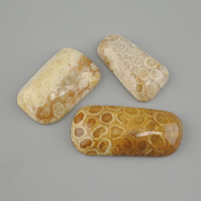 Cabochon Tumbled Coral 38-44×15-23mm+- (assorted sizes)