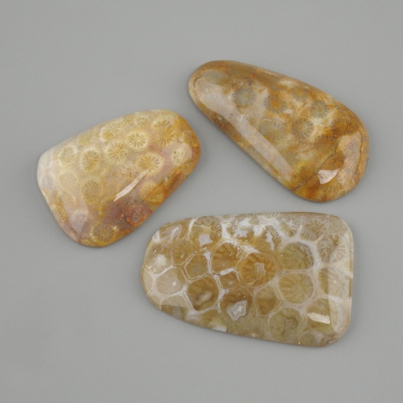 Cabochon Fossilised Coral Oval 40-45x19-24mm+- (assorted sizes)