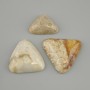Cabochon Fossilised Coral 25-43×24-36mm+- (assorted sizes)