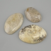 Trilestone Cabochon AGED Coral 29-30×24-49mm± (assorted sizes)