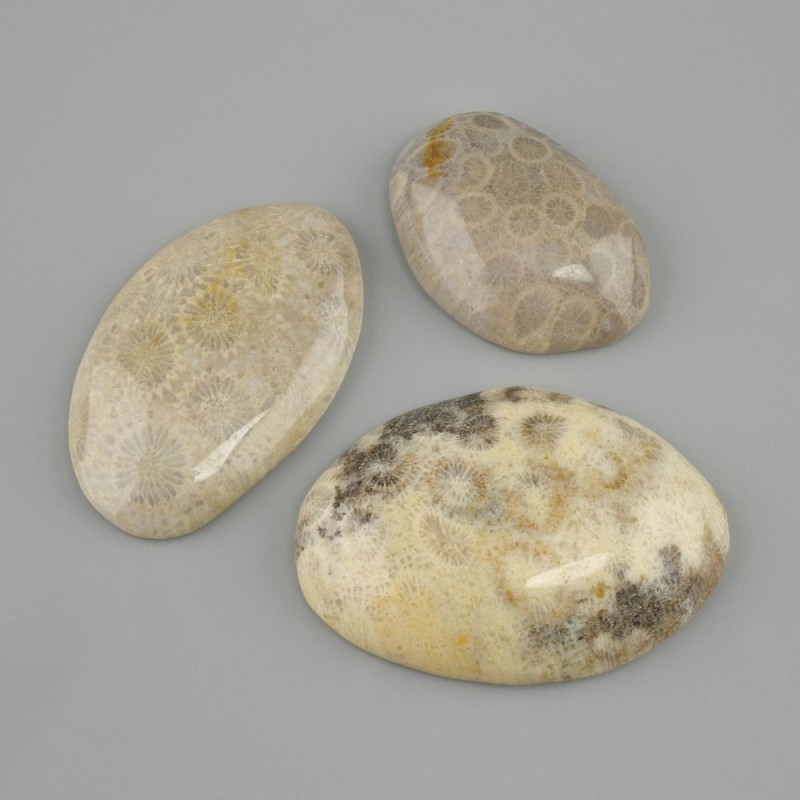 Trilestone Cabochon AGED Coral 29-30×24-49mm± (assorted sizes)