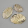 Trilestone Cabochon AGED Coral 29-30×24-49mm± (assorted sizes)
