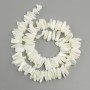 Mother-of-Pearl Beads Chip Shape, diameter 12-18×4-7mm+-, thread length 39cm+-