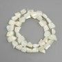 Mother-of-P Pearl Faceted Beads, 9-12×8-13 mm, diameter, 40 cm approx on monofilament