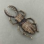 Brooch May Beetle with Rhinestones in Golden Metal 37x78mm