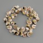 Spiral shell beads, cut, diameter 11-14×7-10, 5mm+-, length 46cm+- on fishing line